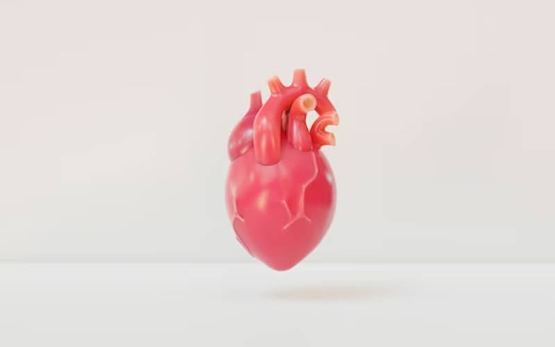 Demystifying the Impact of CoQ10 Heart Inflammation